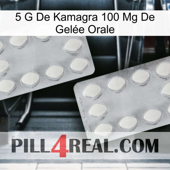 5 G De Kamagra 100 Mg De Gelée Orale 17.jpg